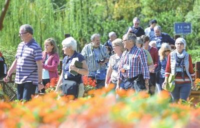 荆州兴建城市生态公园 外国游客纷至沓来