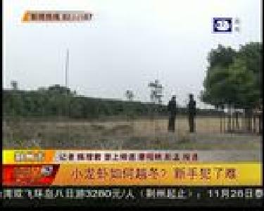小龙虾如何越冬？新手犯了难