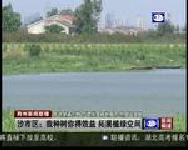 沙市区：我种树你得效益 拓展植绿空间