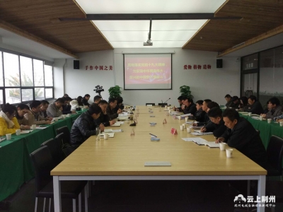 吴朝安调研指导荆州社会组织党建工作并宣讲十九大精神