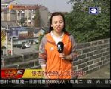 银杏叶色撩人 古城遍地黄金