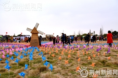环保又增收 央视《朝闻天下》关注荆州稻田迷宫大赛