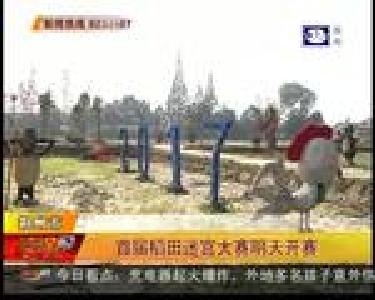 首届稻田迷宫大赛明天开赛