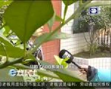 虚拟货币打到账户 是福利还是克扣？