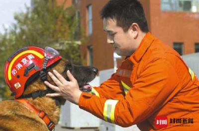 泪目！它在汶川地震中救出15人，退休后战友带它回家养老