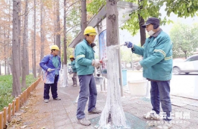 荆州对城市行道树进行涂白 为树木穿上“新衣”