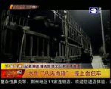 水牛“从天而降” 撞上面包车