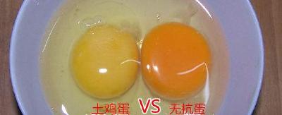 蛋鸡养殖开启“无抗”新模式 荆州区成全省唯一试点