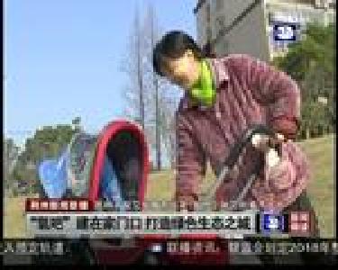 “氧吧”建在家门口 打造绿色生态之城