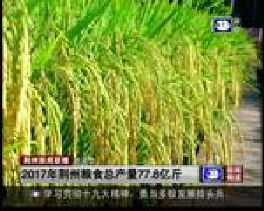 短消息：2017年荆州粮食总产量77.8亿斤