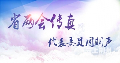 省两会代表委员同期声丨为湖北“建成支点、走在前列”建言献策