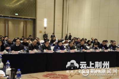 杨智参加荆州区代表团分组审议