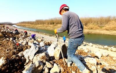 洪湖东荆河堤除险加固工程进展顺利 工人施工忙