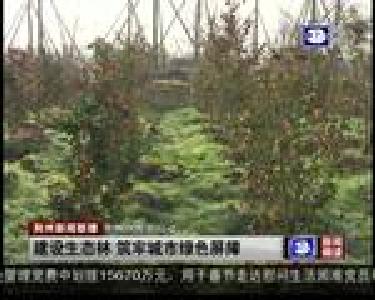 建设生态林 筑牢城市绿色屏障