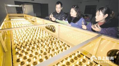 质优价廉！荆州节能灯具抢占欧洲市场销售份额