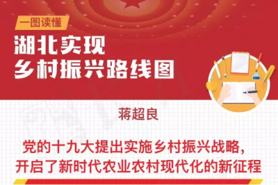一图读懂：湖北实现乡村振兴路线图