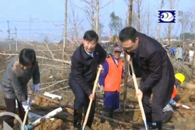 杨智、崔永辉等市领导参加市直机关义务植树活动 