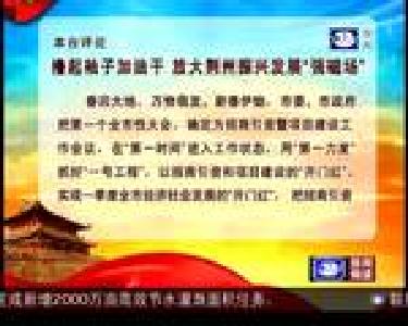 撸起袖子加油干 放大荆州振兴发展“强磁场”