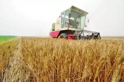 大局已定！农村户口注意了！身价即将暴涨！