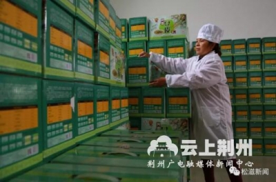 今年踏春有了好去处！荆州城区三大古建筑3月同时开放