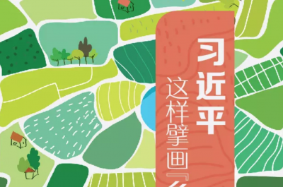 图解 | 习近平这样擘画“乡村振兴”