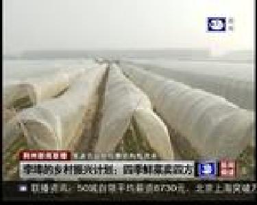 李埠的乡村振兴计划：四季鲜菜卖四方