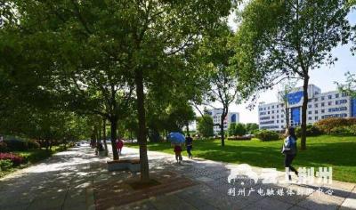 还绿于民！沙市区拆墙透绿工作启动 6月底前完成