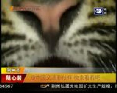 动物园又添新伙伴 快来看看吧