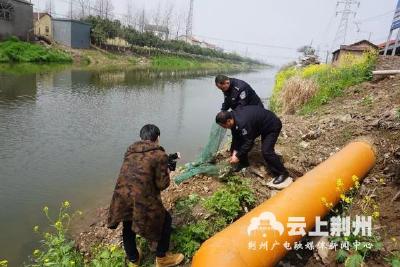 查获省级保护动物死体61只 公安县开展野保整治行动