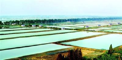 石首拆除围网养殖3000亩 推进湖泊保护专项行动