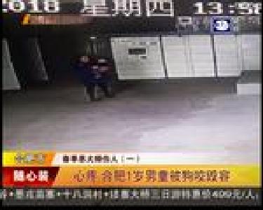 心疼 合肥1岁男童被狗咬毁容