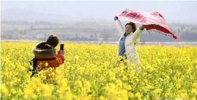 春游踏青去哪里？公安县斑竹垱镇首届油菜花节等你来