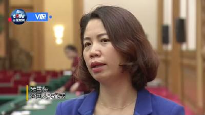 V视丨与总书记议国是啥感受