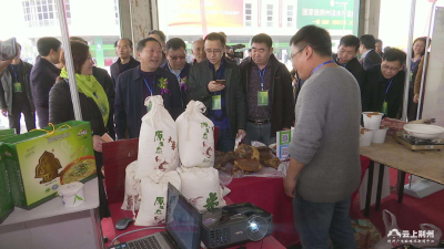 2018年湖北农产品产销对接江汉平原行活动举行
