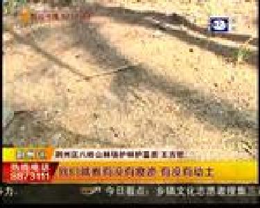 甘愿奉献的护林护墓员王方哲