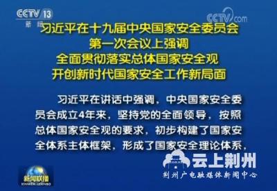 习近平在十九届中央国家安全委员会第一次会议上强调：全面贯彻落实总体国家安全观 开创新时代国家安全工作新局面