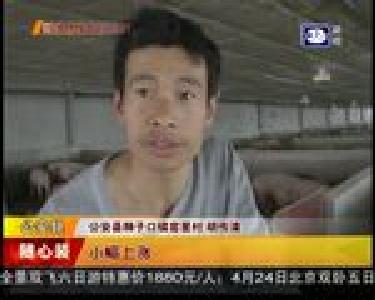 猪价上涨 还会再跌吗？