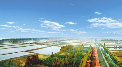 洪湖15亿打造“国际水产城” 规划建设面积1000亩