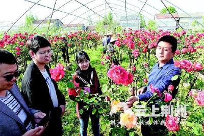 荆州区联合企业大力发展观光农业 助力精准扶贫