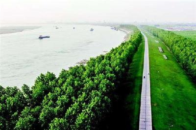 坡上披绿林下生金 荆州今年林业总产值目标608亿