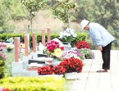 保护环境 荆州城区公墓推出以“花”换花服务