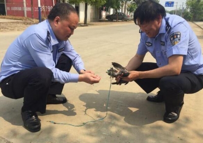 荆州打击非法贩卖野生动物行为 一上午救了1000多只
