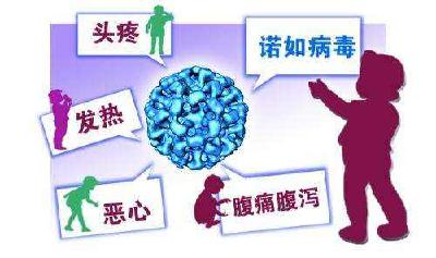 我省发现输入性诺如病毒群体感染 提醒：别乱吃！