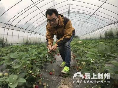 中国农大高材生种草莓 这个公安娃让人肃然起敬！