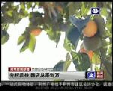 电商扶贫看陇南（一）：先托后扶 网店从零到万