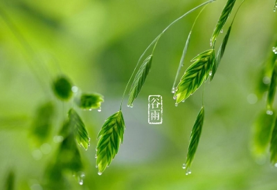 明日谷雨| 雨生百谷 遇见最美暮春色