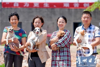 荆州市流浪小动物保护中心：3年救助1500只小动物