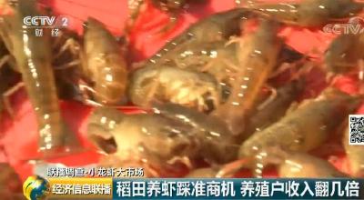 钞票粉碎机！小龙虾价格又飙涨60%，市场破千亿级！