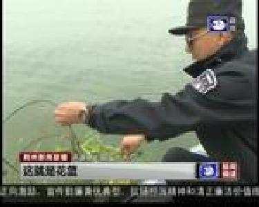 清网行动 监利收缴洪湖内非法捕捞工具