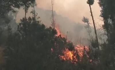 大理苍山林区发生森林火灾，730人正全力扑救